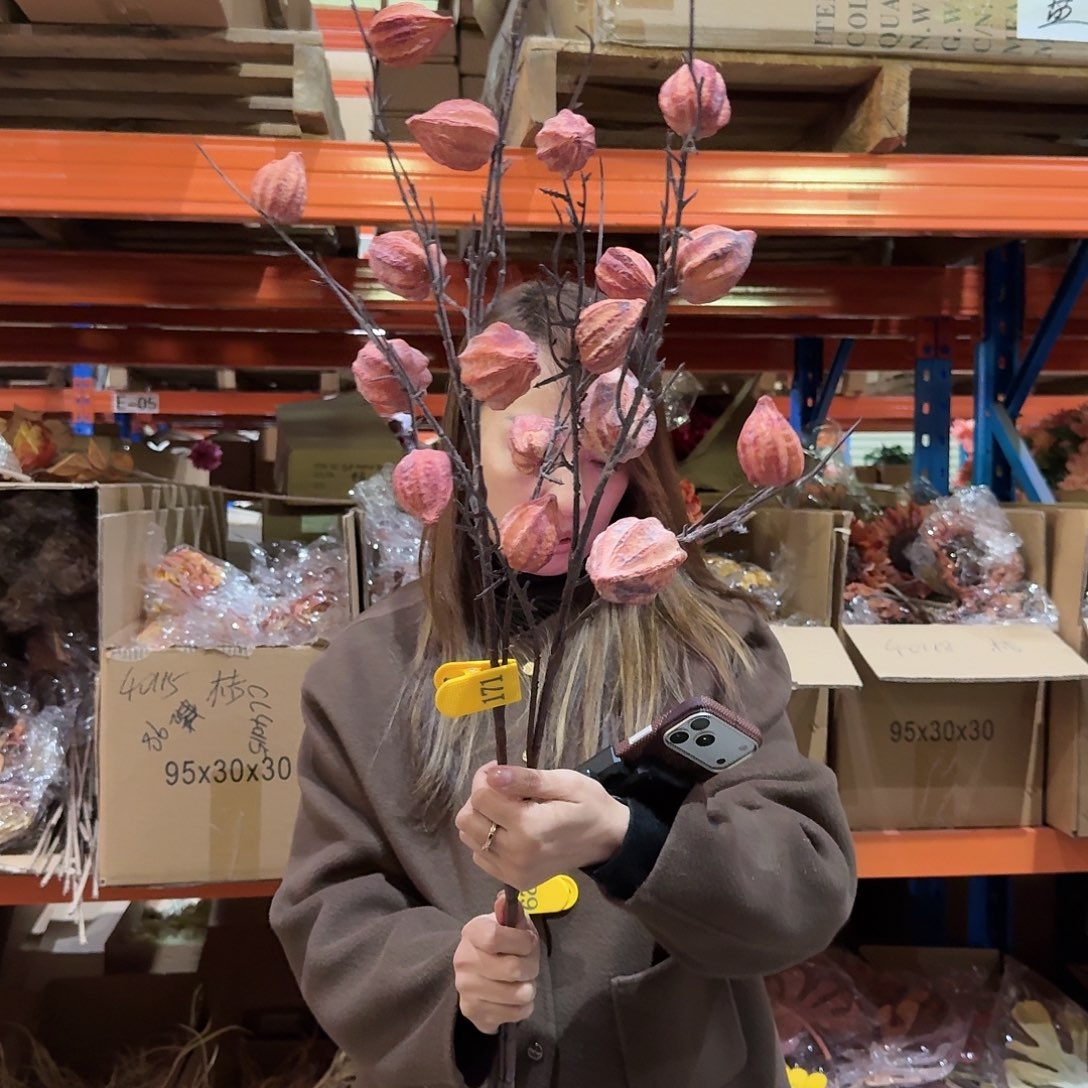 171号「闪购」仿真花，公主请下单