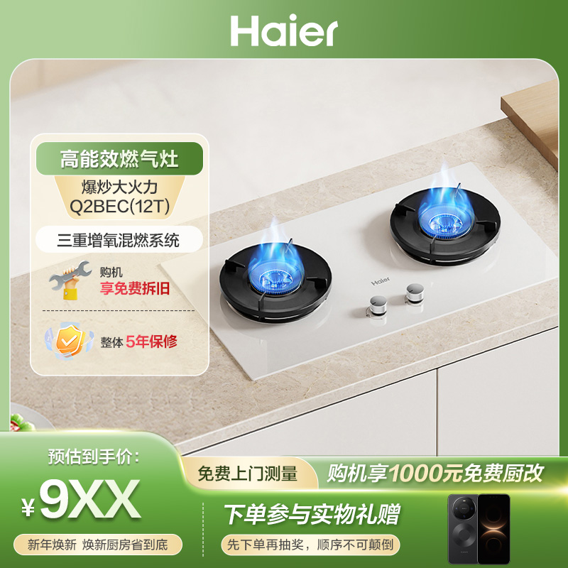 【海尔小红花套系】燃气灶家用嵌入式双灶5.2kw猛火台嵌两用Q2BEC