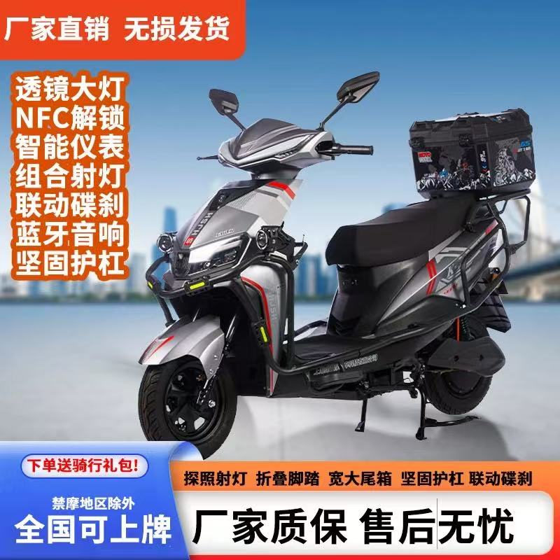 建设/飞野新款雷豹大功率家用外卖高速长续航大号电动车