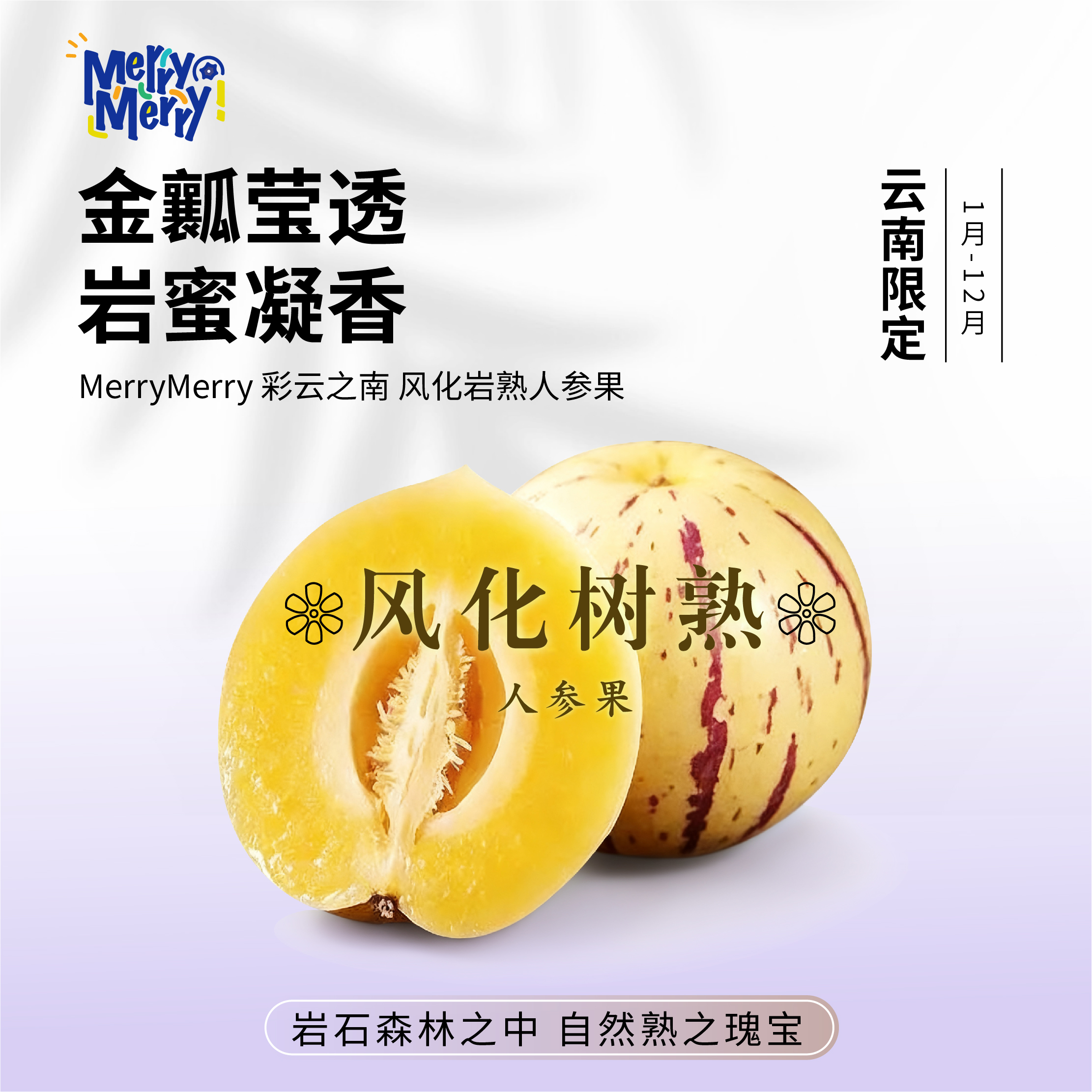 [树上熟]云南石林人参果新鲜水果黄肉圆大果皮薄清甜多汁应季水果