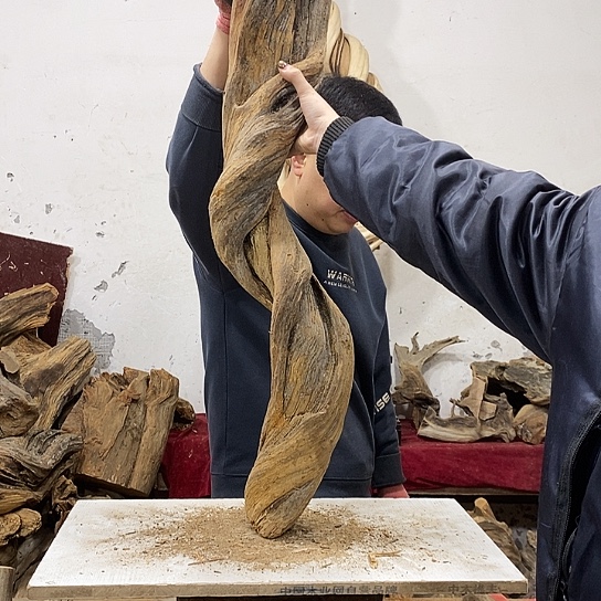 柏***艺柏木我们都是好孩子