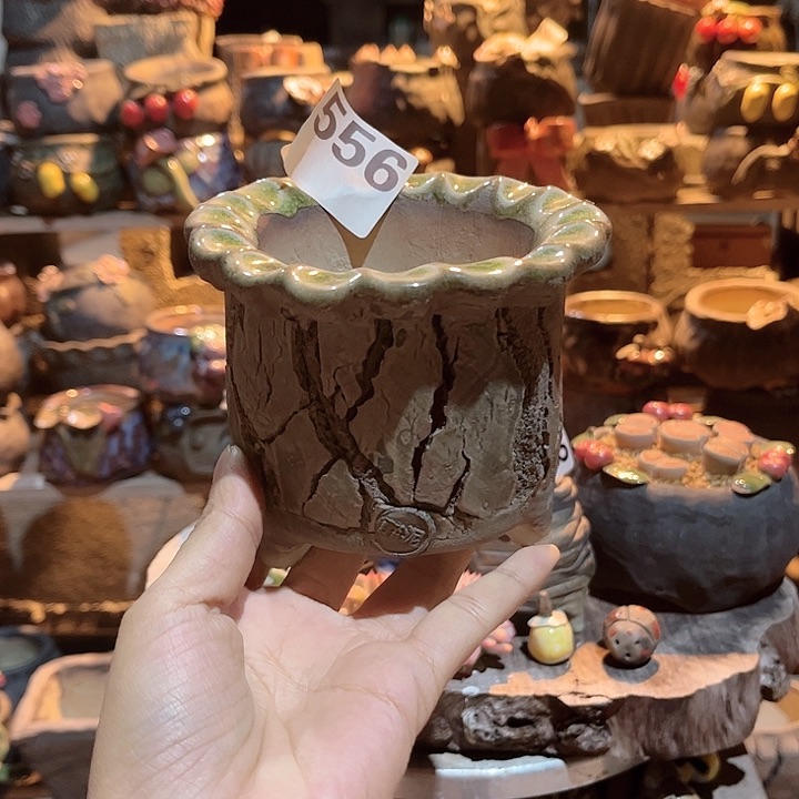 陶这个世界上最爱的人在