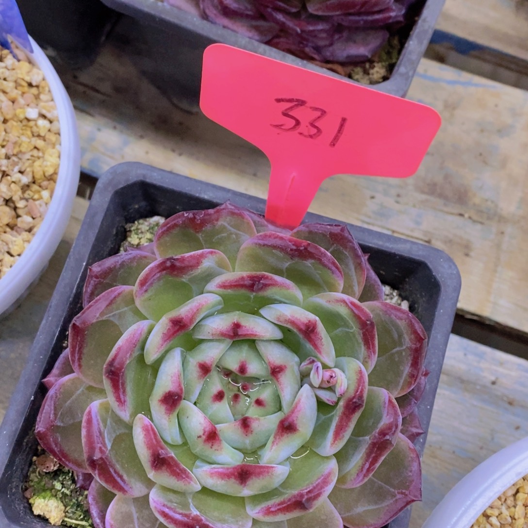 清货专场，满5宋1了