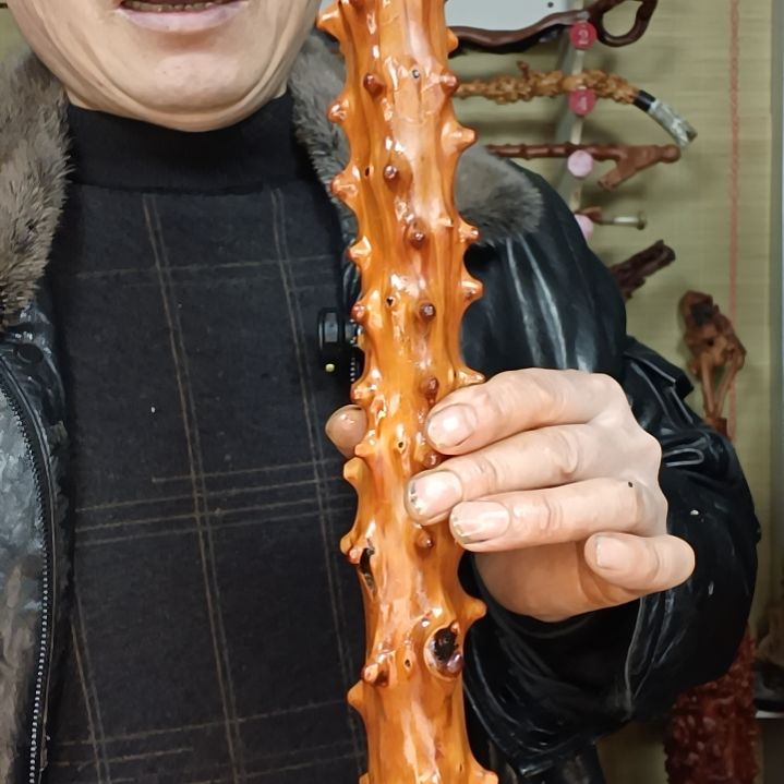 稳定木群*贵州檬子木   铁马鞭   根艺  半成品