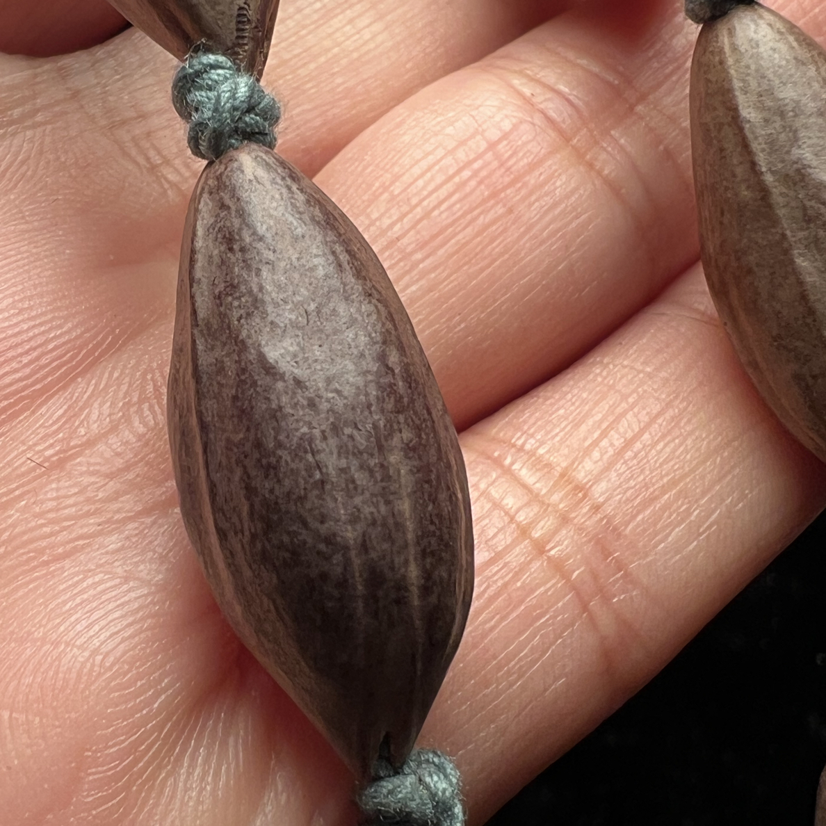 橄榄核素串小紫核