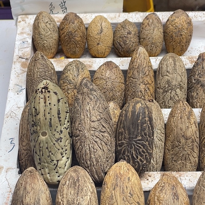 菩提1111111111111111111