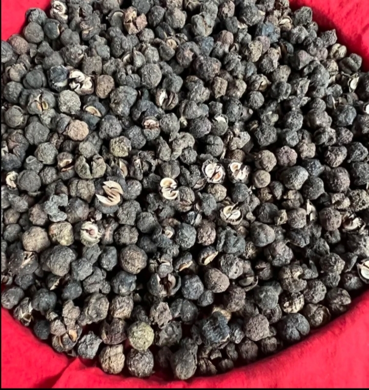 云南深山【沉、香果】现收干货农产品 500g