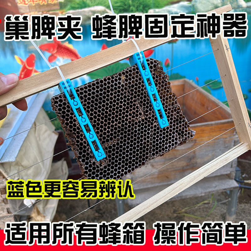 蜜蜂过箱巢脾夹绑脾固定器蜂脾夹条中蜂绑脾夹子蜂脾固定夹养蜂
