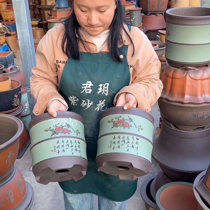 紫砂花盆盆栽花卉苗木种植