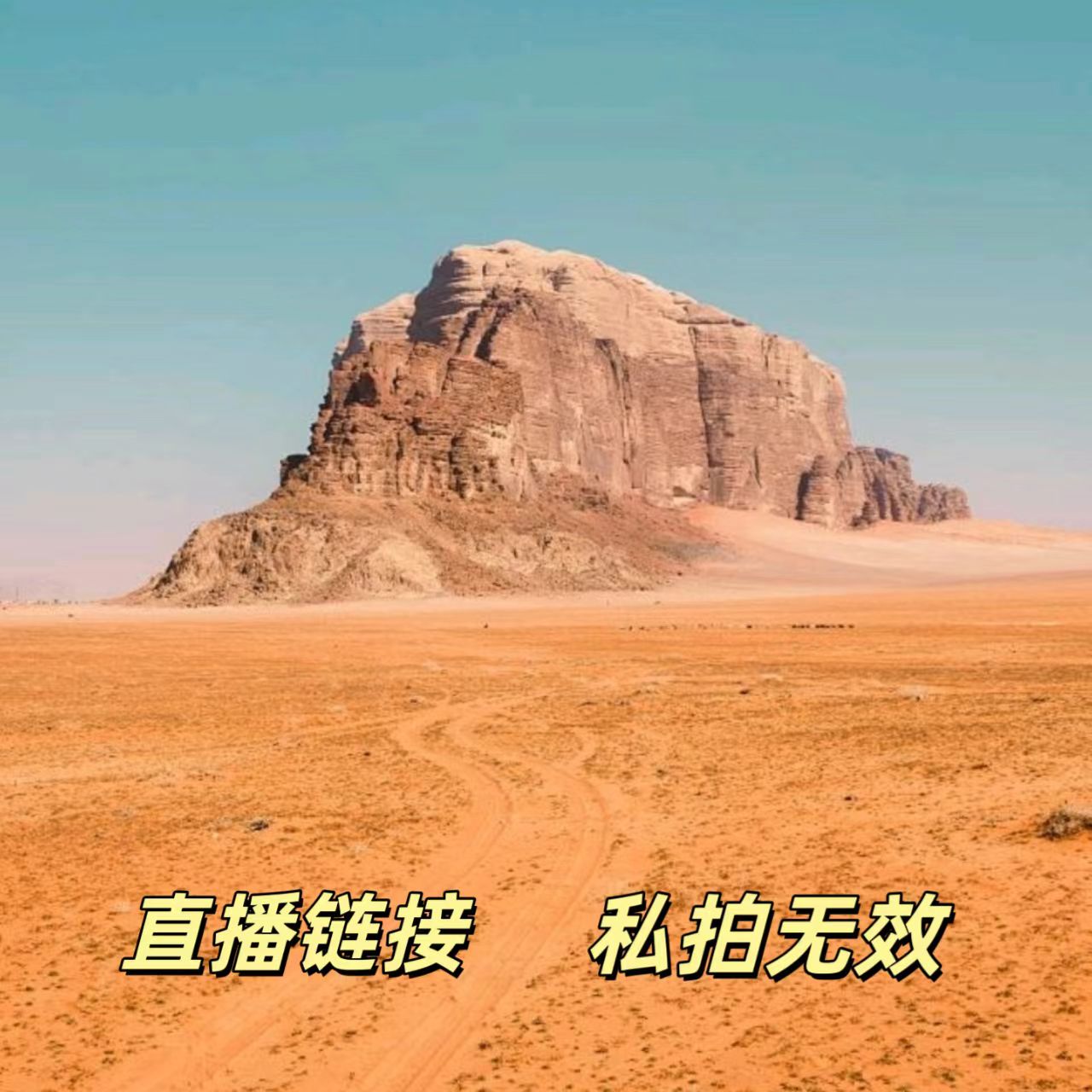 新疆戈壁石/泥石/风凌石/象形石/画面石/观赏石/收藏摆件