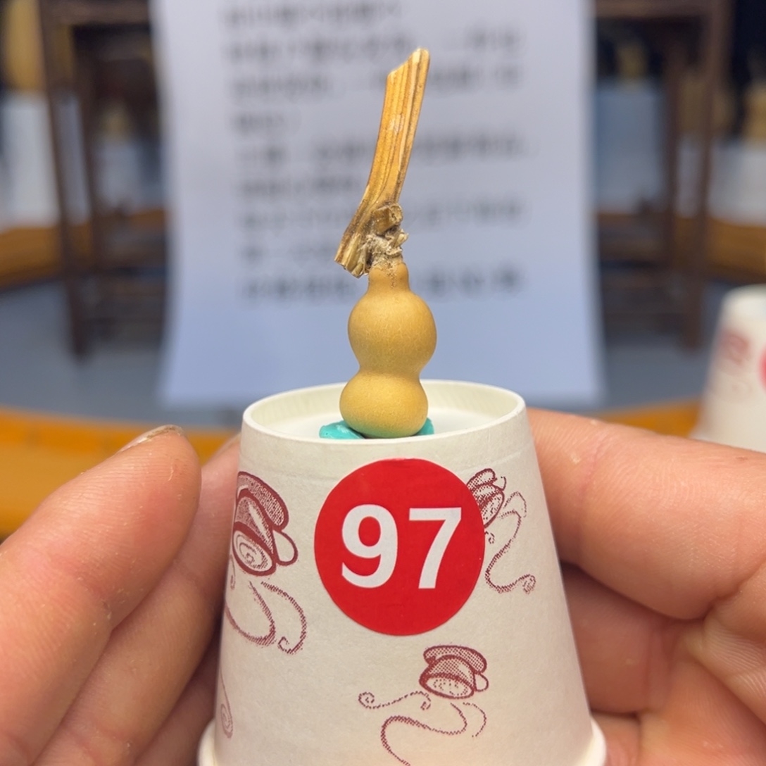 闪电购自助下单编号97