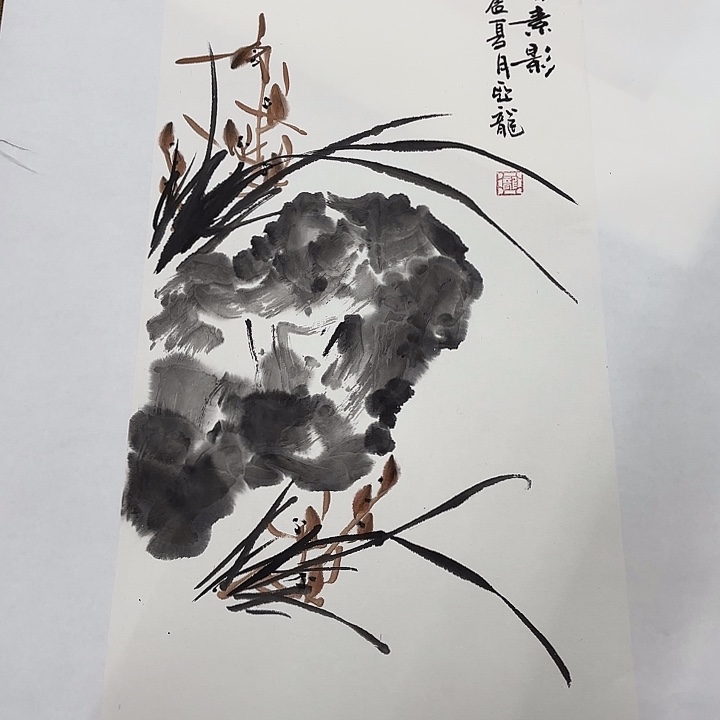 国画花鸟的翅膀和翅膀都是白色的羽毛