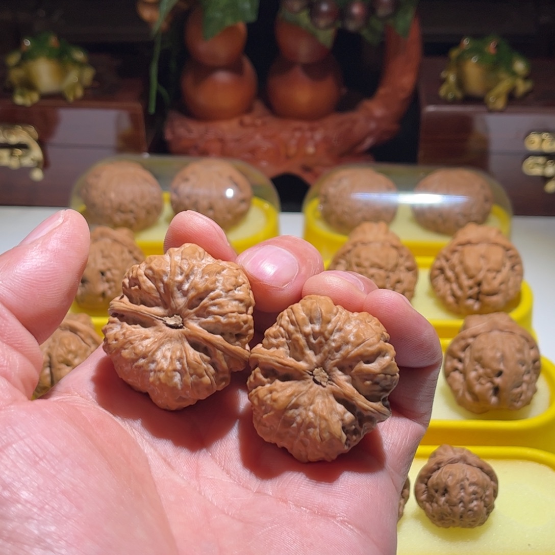 宇****文玩核桃把件昌平娃直播中欢迎观看