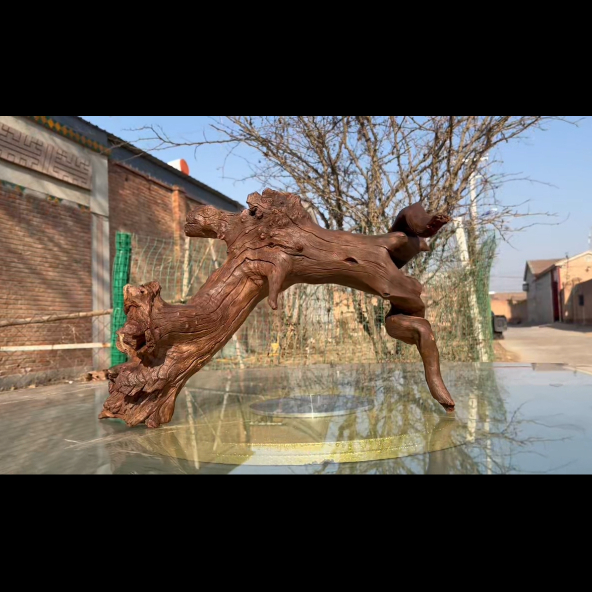 尺寸46×19×27 鱼缸造景沉木摆件，紫柚木，秒沉水，包煮，南美缸