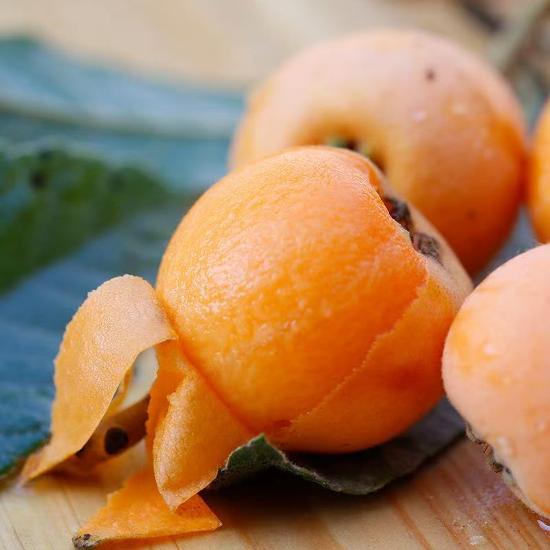 贵州深山野生枇杷纯天然生长无人工干预不套袋露天成熟酸甜口可