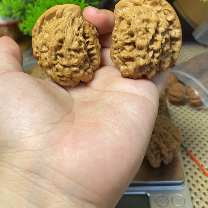 核桃手串/手链座山雕