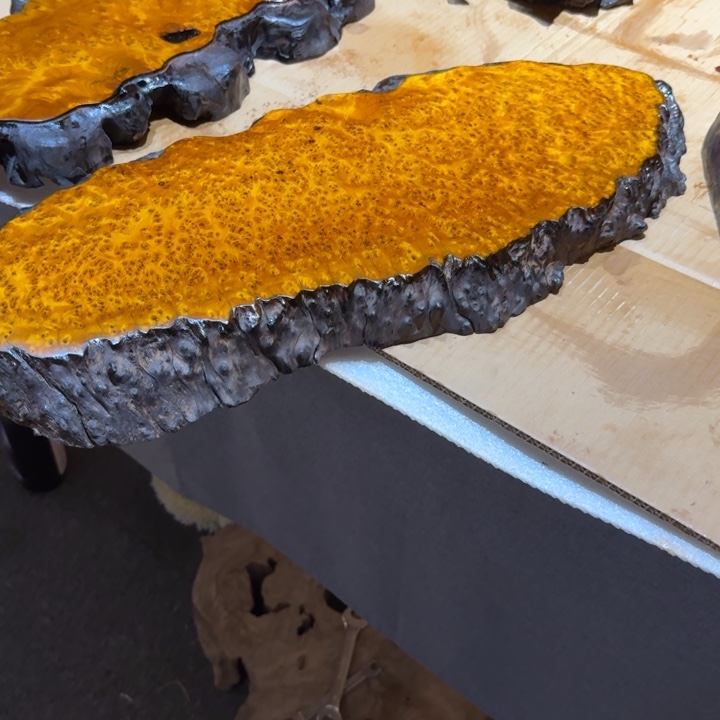 小***天百年老枯木干泡台子