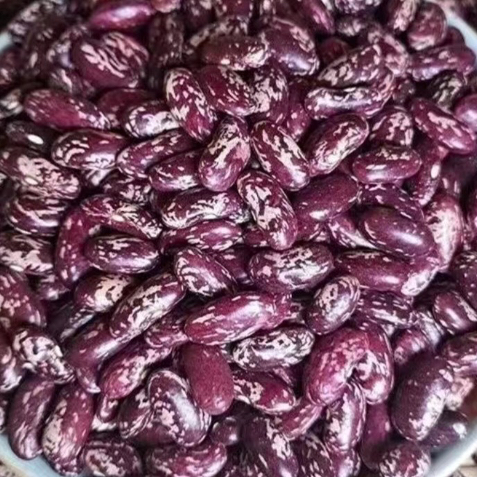 云南高山紫花豆熬粥佳品火锅酸菜豆米特色杂粮