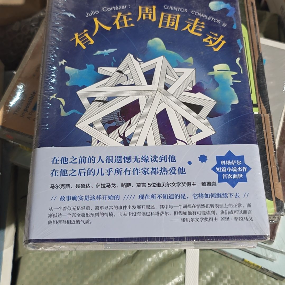 有人在周围走动精装库存书