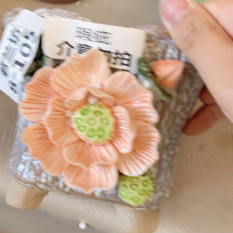 【闪购商品】红陶福利