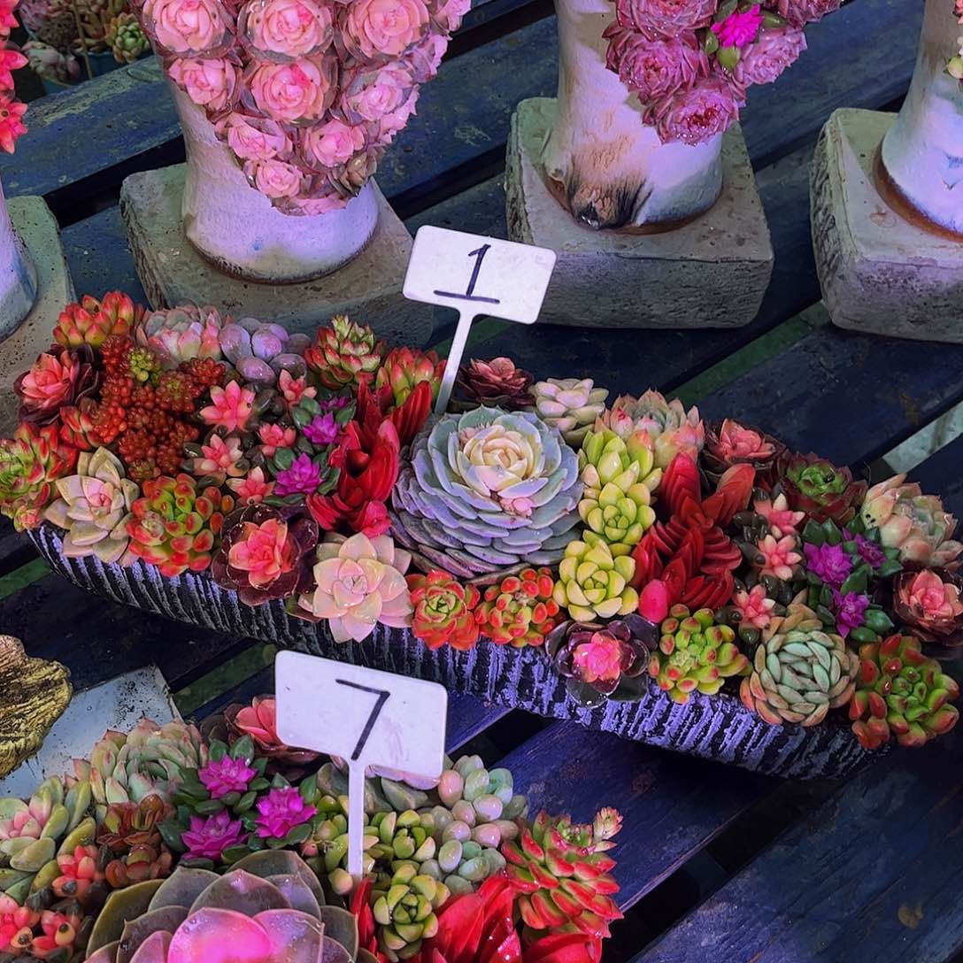 成品懒人彩色一体发货