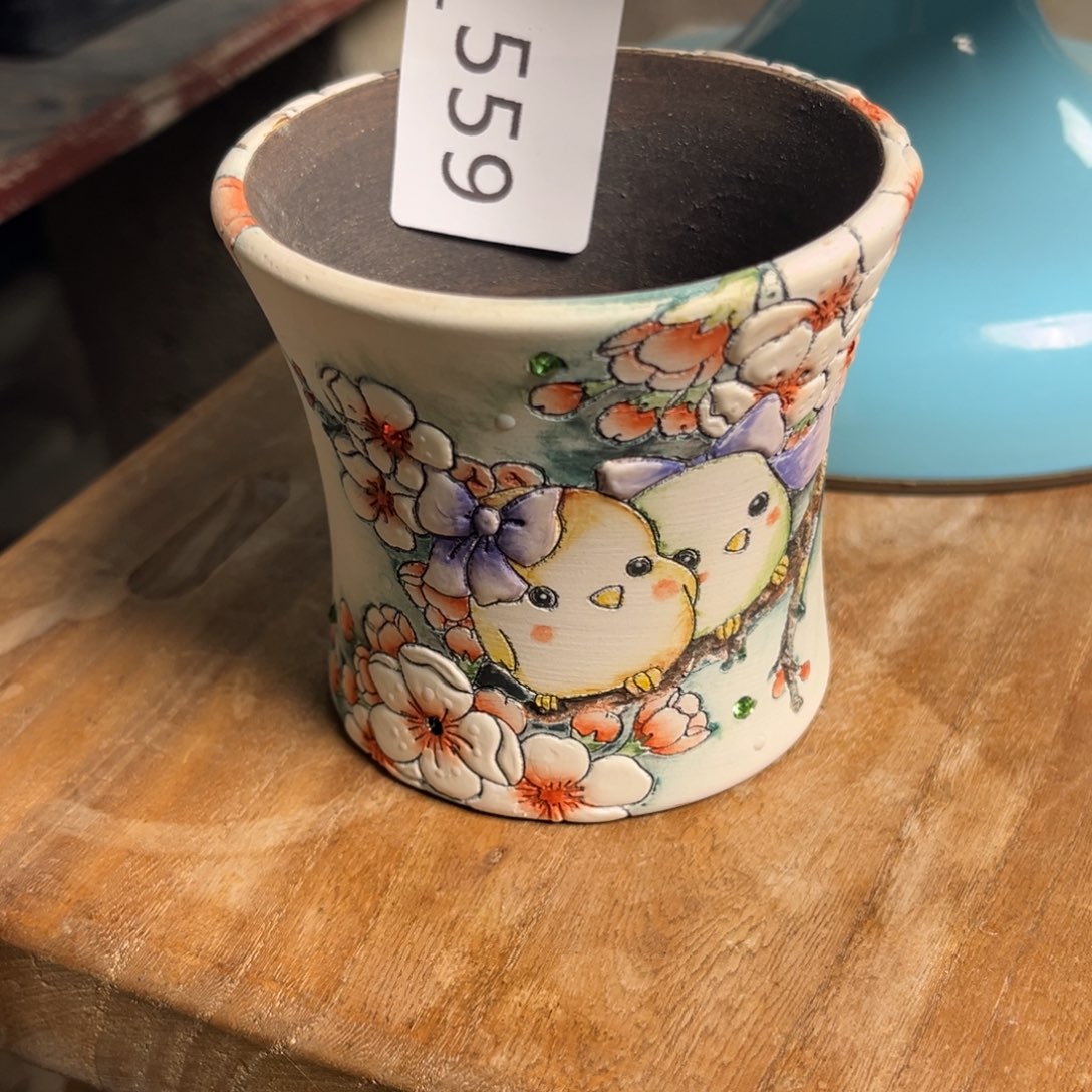 ****蒿559多肉花盆   1个
