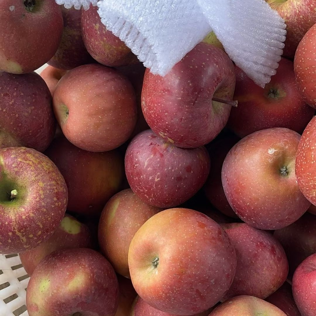 【盐源丑苹果】时令应季，5斤/净重
