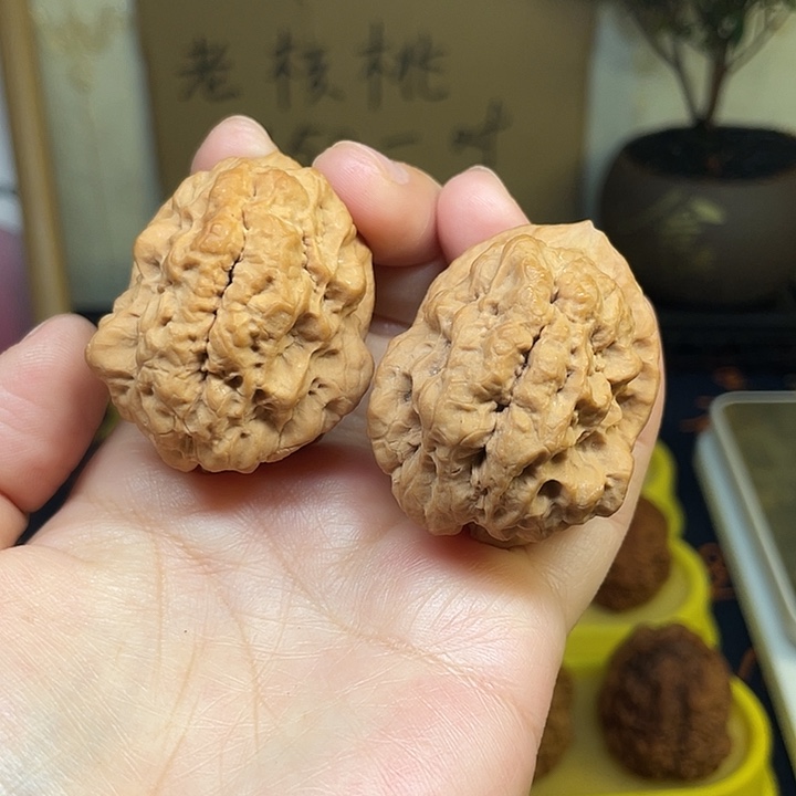 把件文玩核桃19、山羊王42