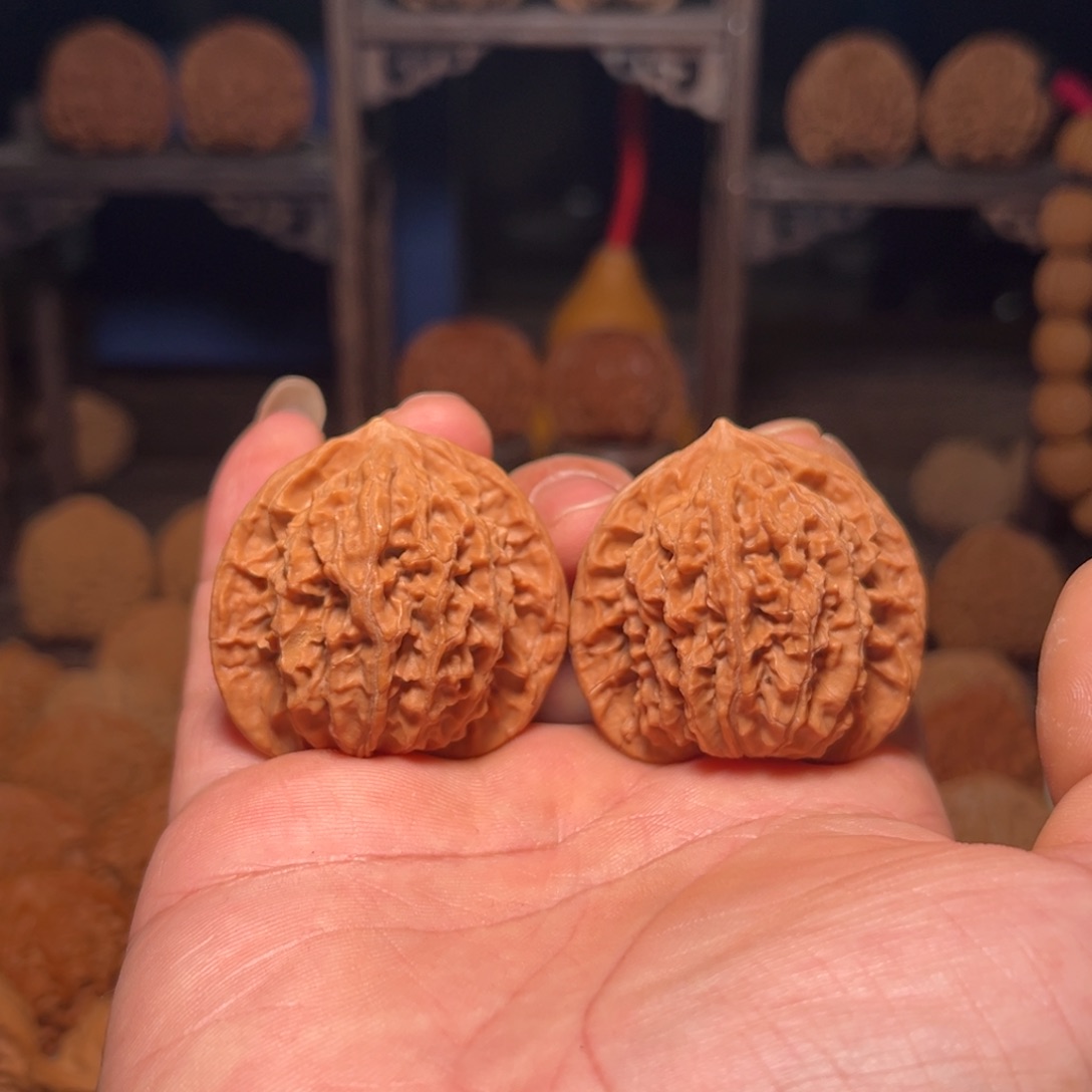 文玩核桃吊坠老树盘龙纹