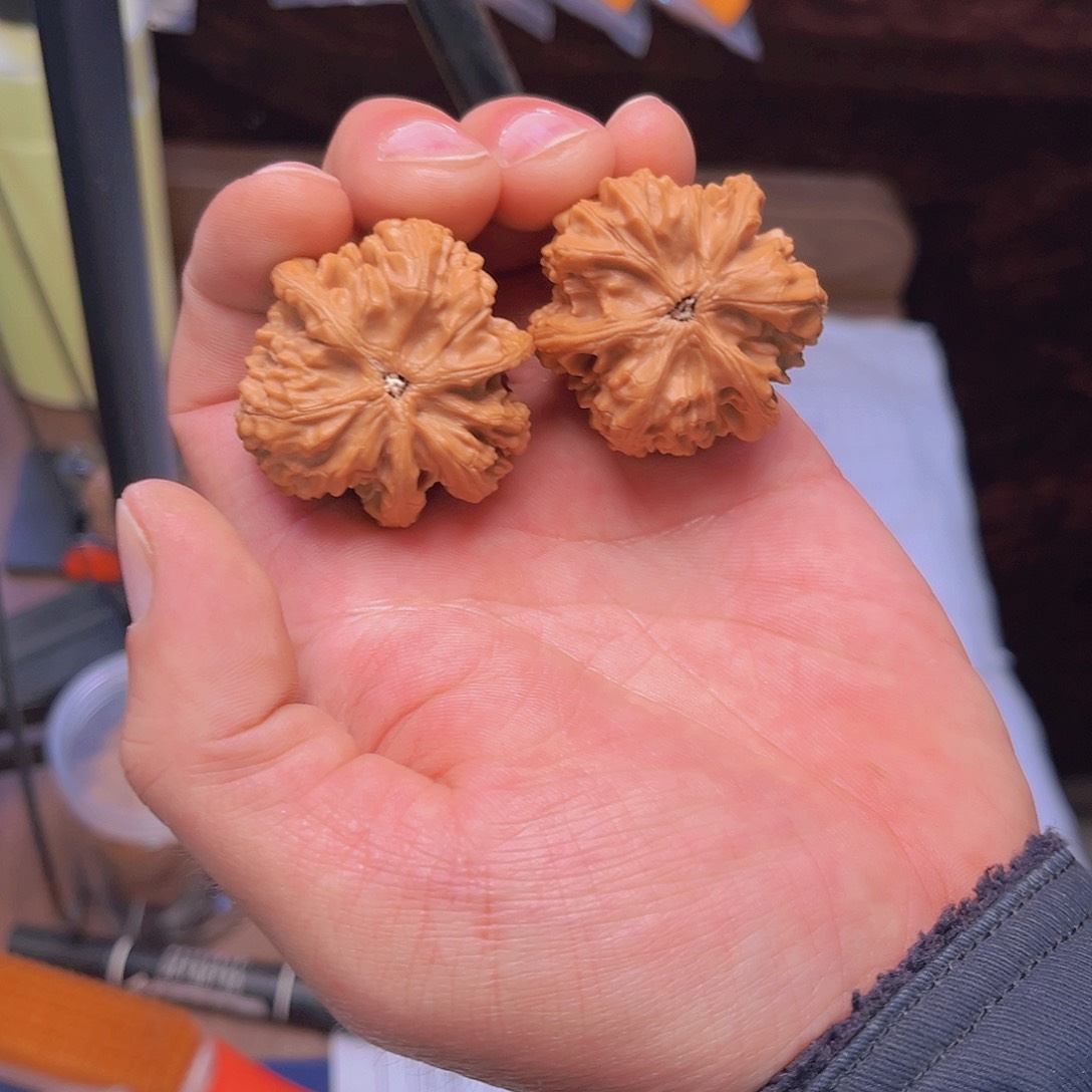 文玩核桃把件文山三棱40