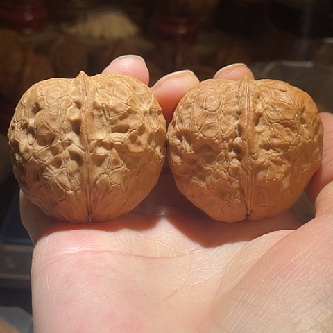 文玩核桃把件铁核桃带彩蟒纹44