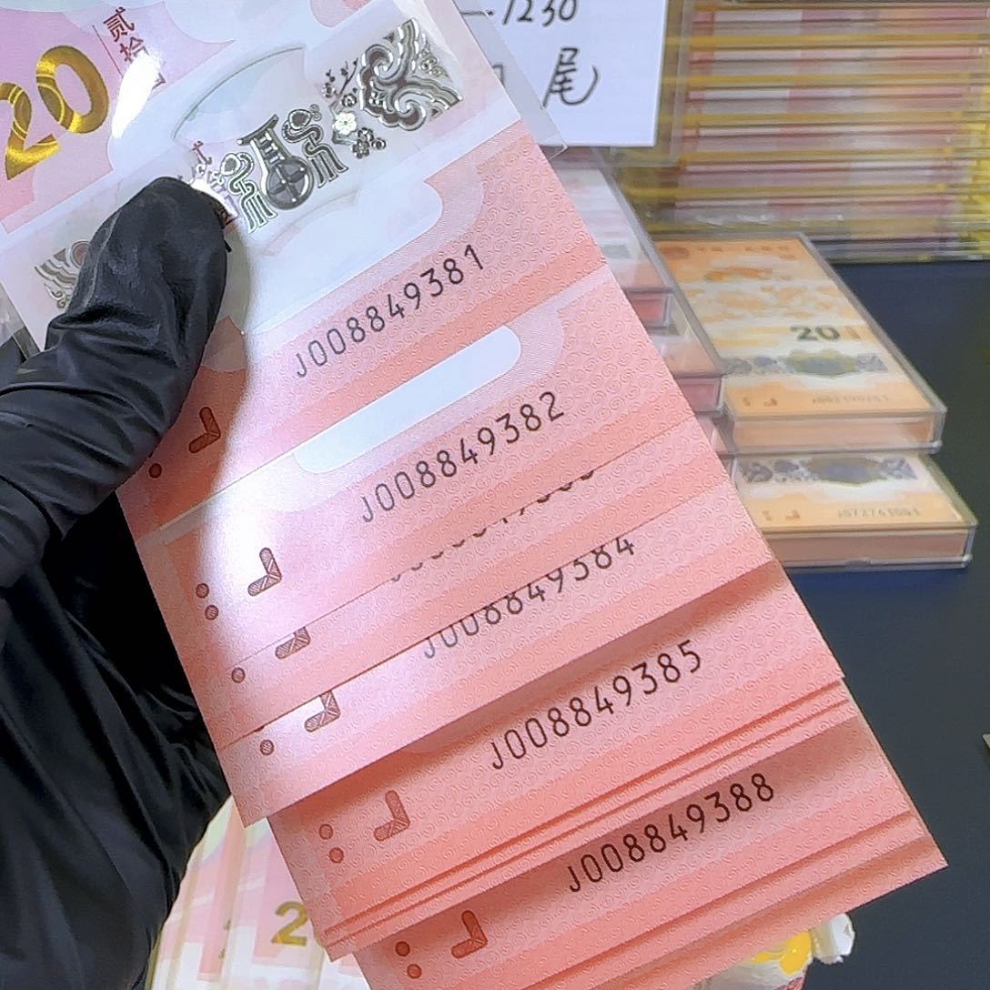 塑料生肖蛇008849381-90