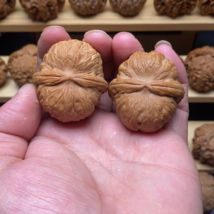 文玩核桃把件飞**雪255558999