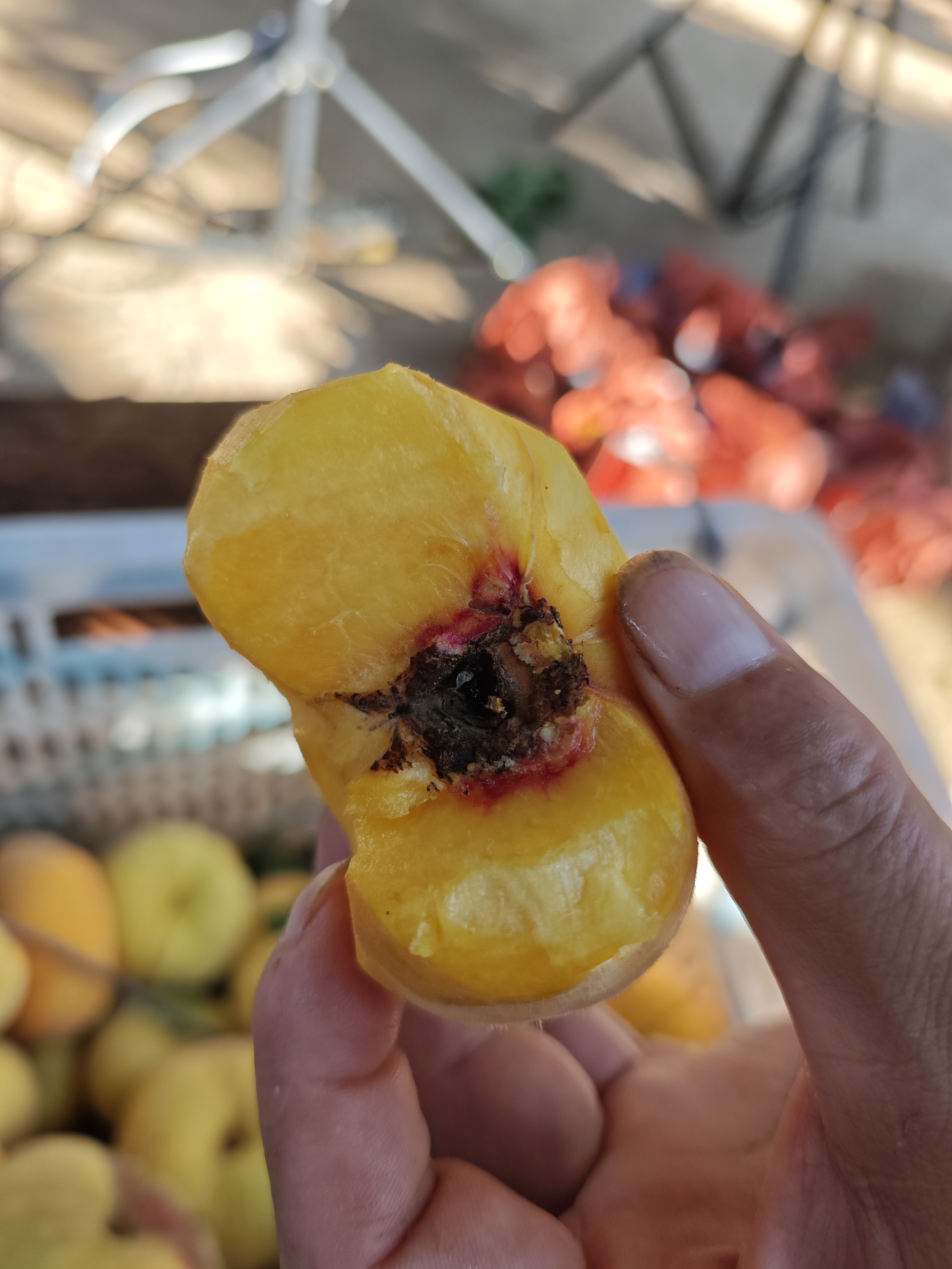 丑蟠桃，自然裂开，口感好，介意外观的不要拍，顺丰包邮