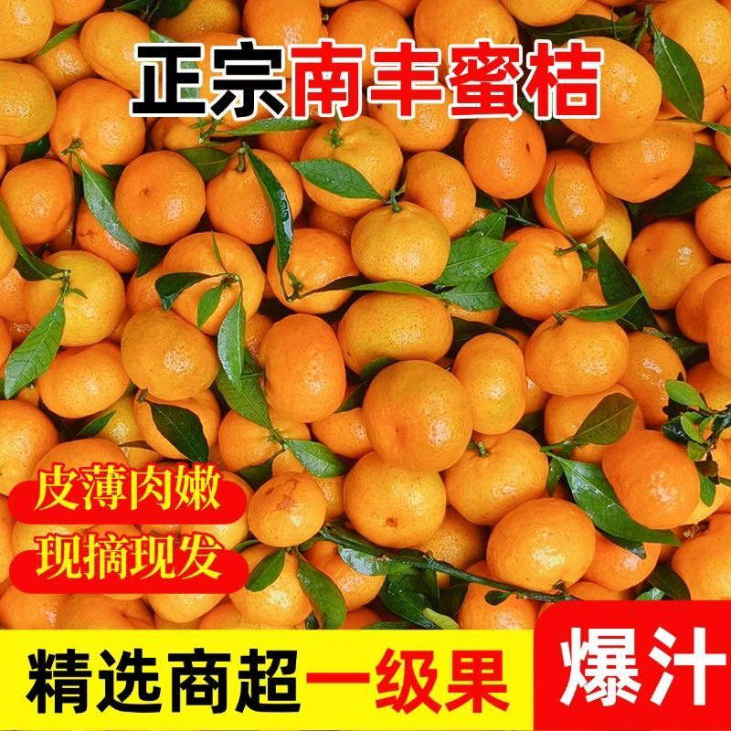 江西正宗南丰蜜橘橘子10斤新鲜当季皮薄多汁香甜蜜橘