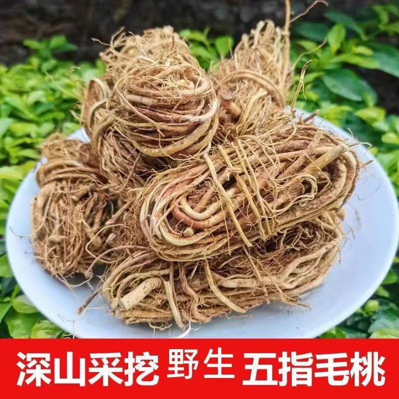 河源深山五指毛桃根河源特产自然晒干五指毛桃煲汤泡酒奶香味包邮