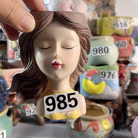 红陶多肉植物花盆