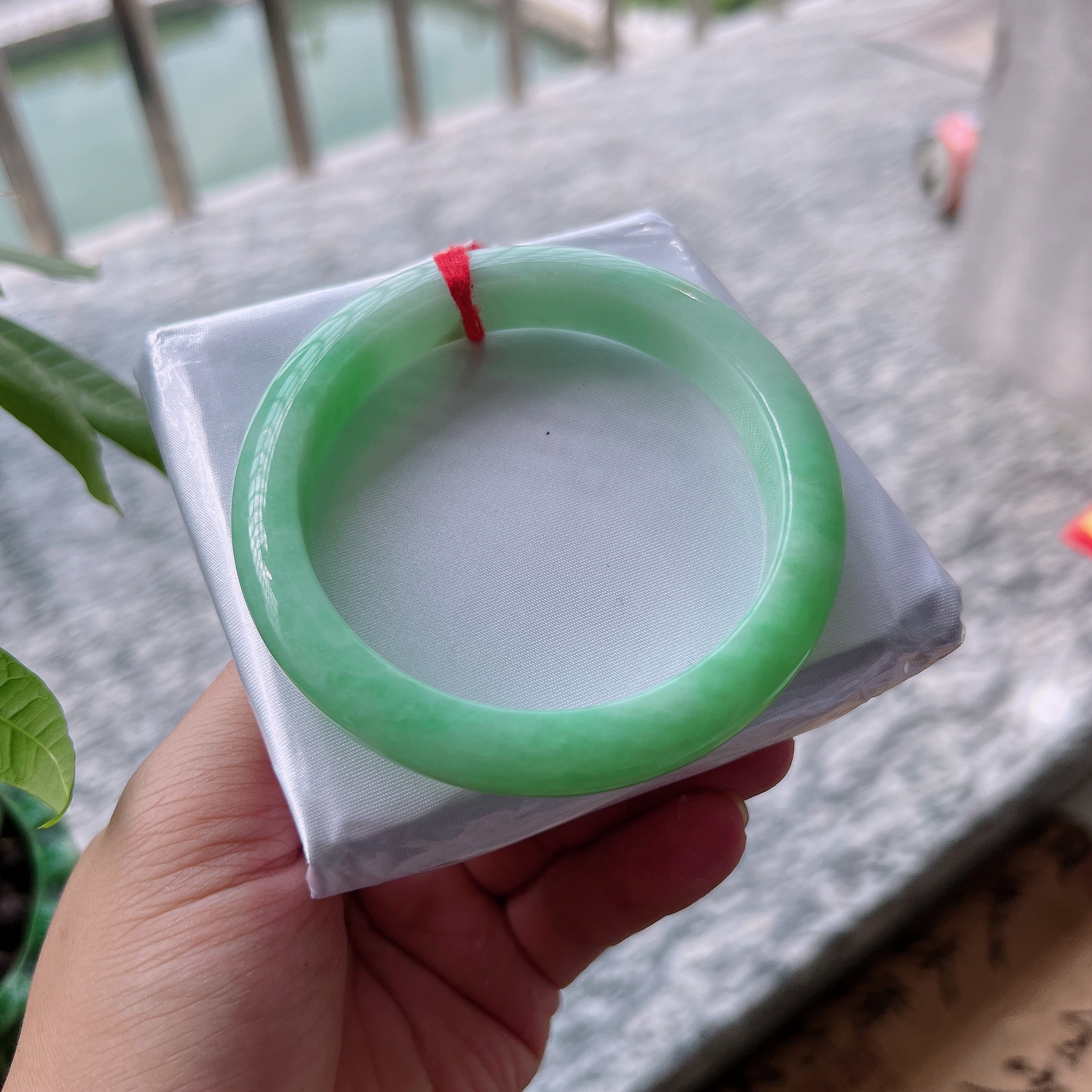 手机实拍0色差缅甸翡翠A货老坑60圈满绿色阳绿正圈大圈口手镯正品