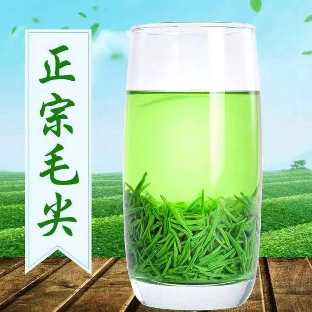 毛尖绿茶信阳原产毛尖2025新茶雨前高山嫩芽叶浓香耐泡