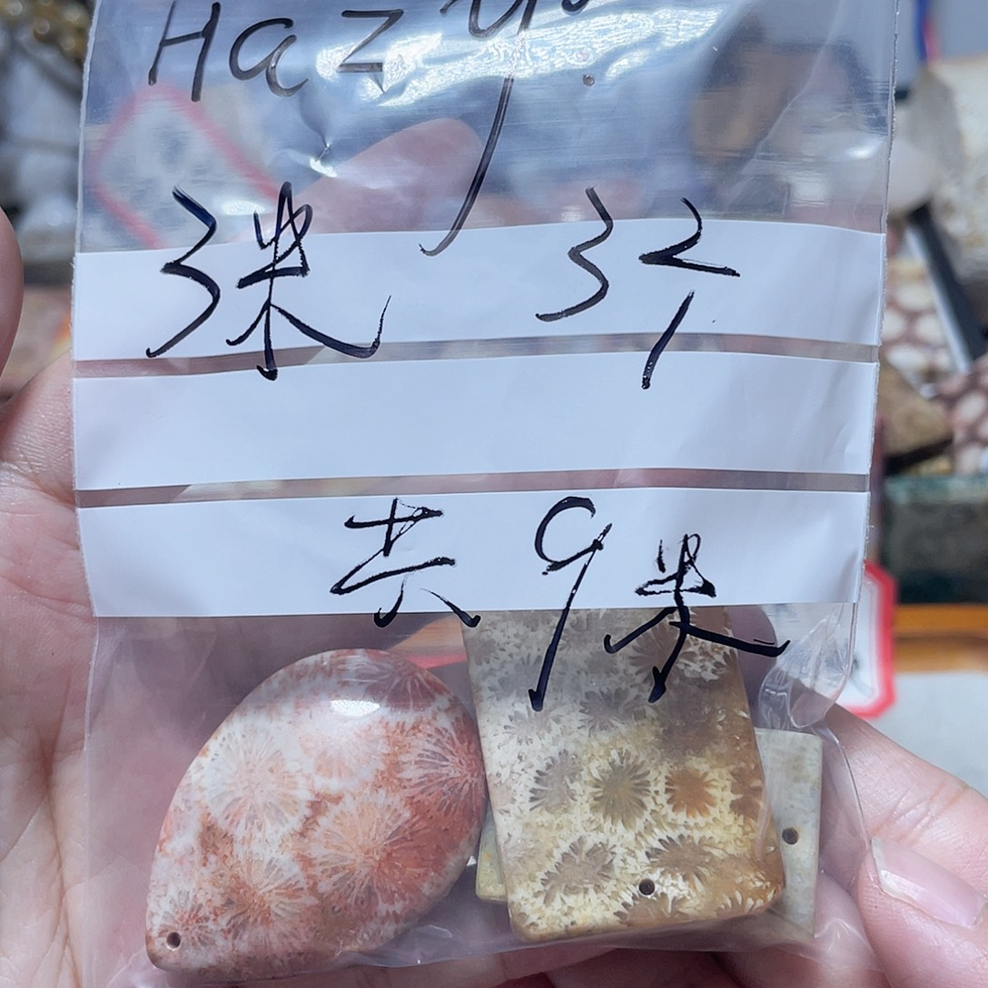 H****硅化珊瑚（珊瑚玉）合金颈饰