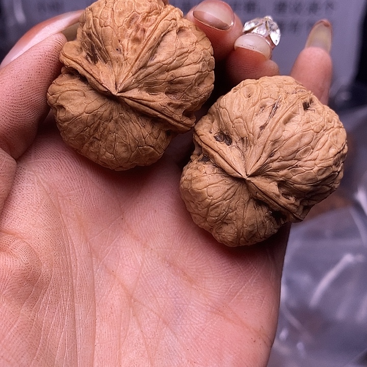 核桃云南野生铁核桃142号36mm