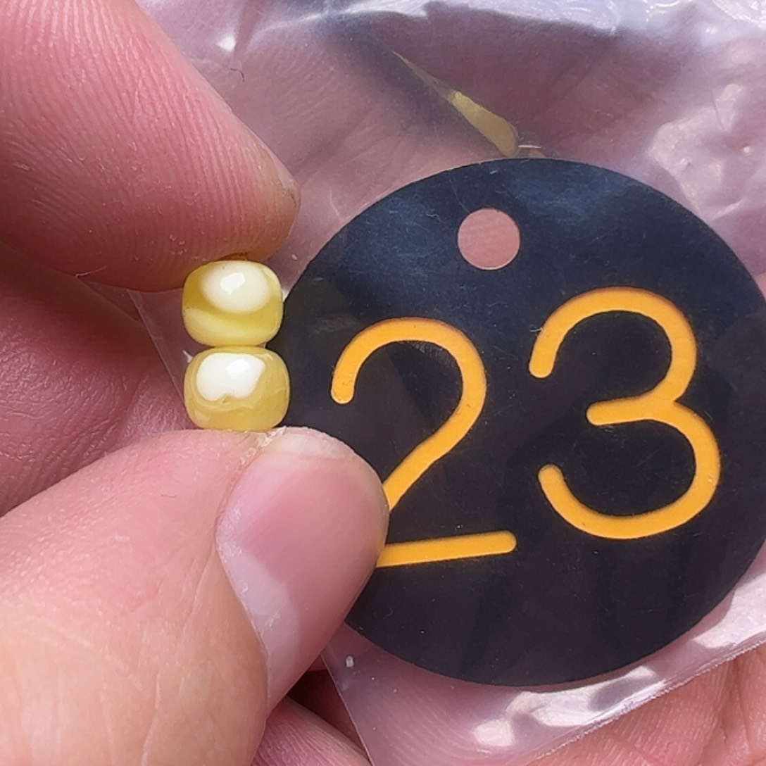 蜜蜡未镶嵌珠宝奇石6.5mm