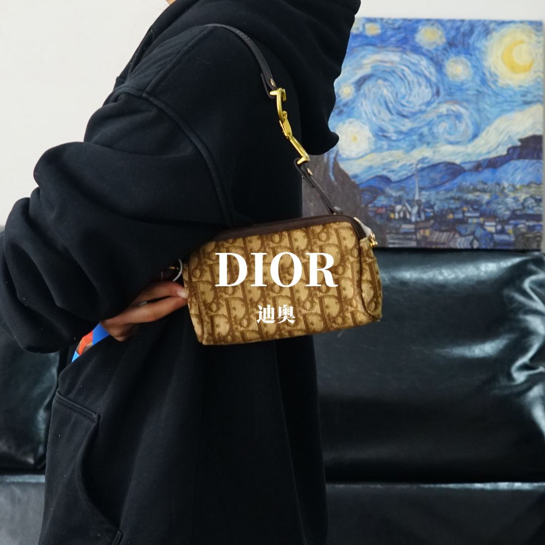 95新 DIOR/迪奥 老花单肩包/F4MX10428272/8272