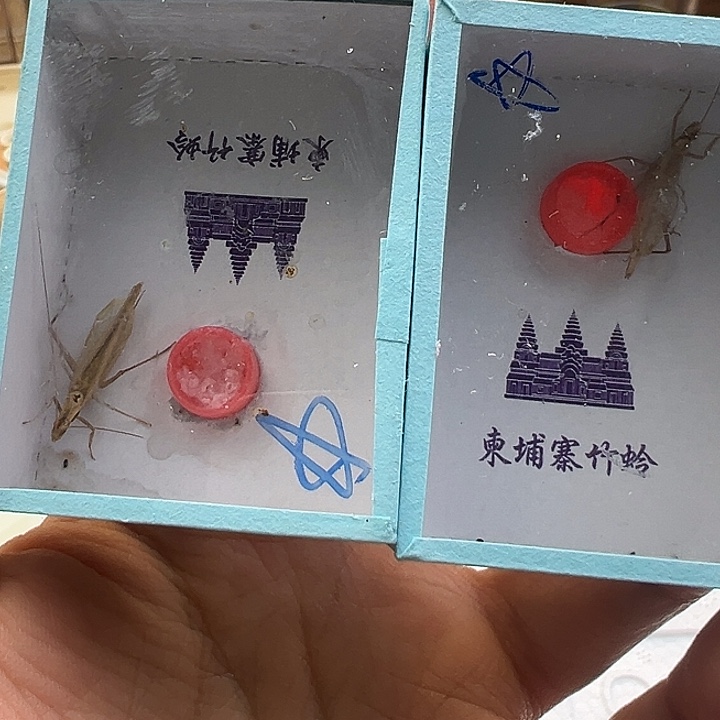 鸣虫虫具一个包邮
