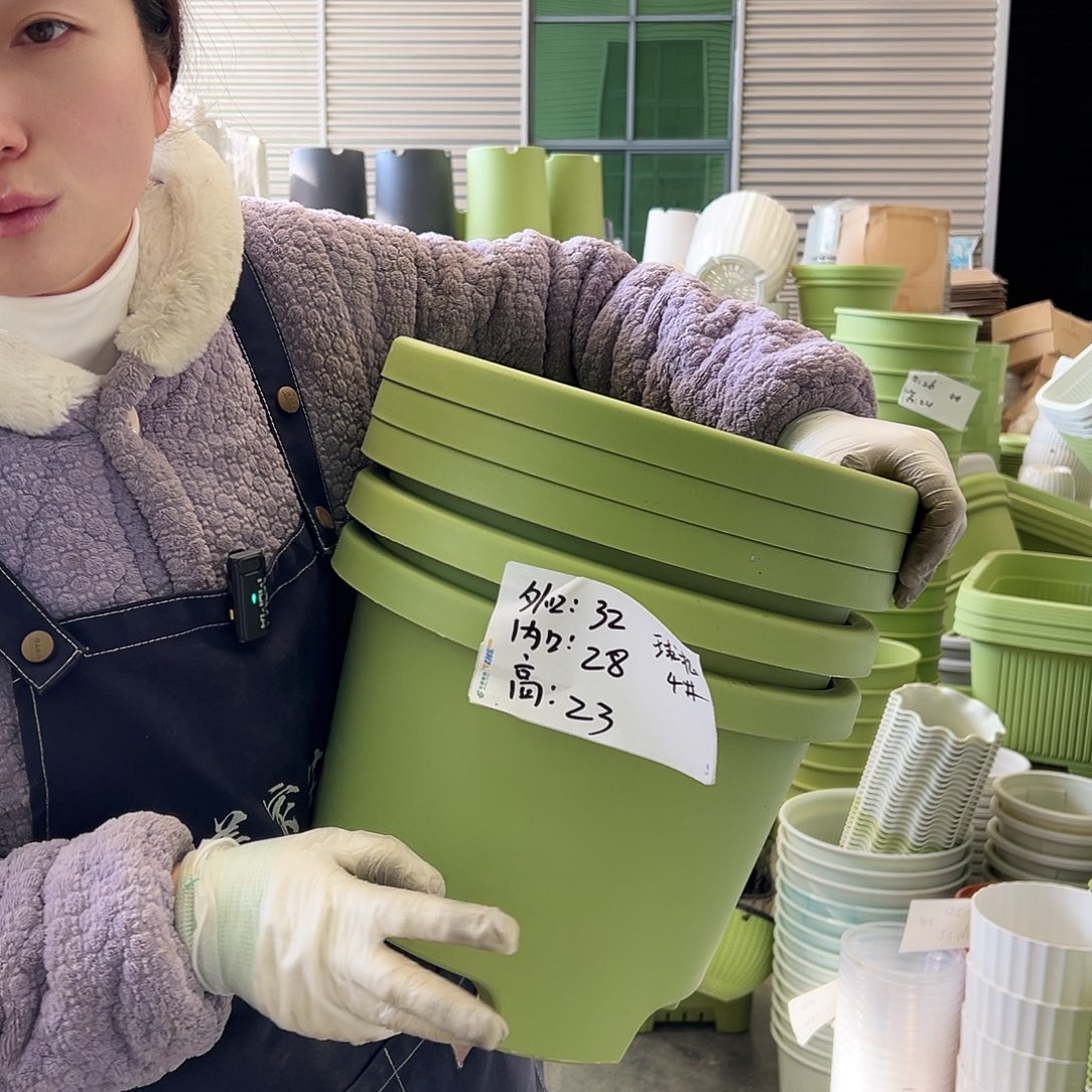 球根盆4#果绿5个无托