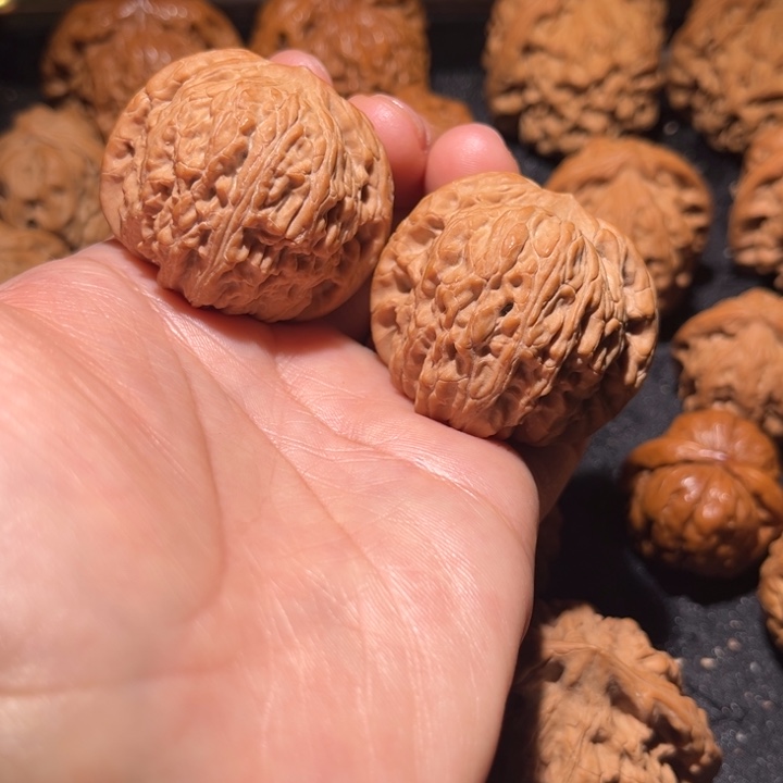 吊坠龙脊菩提泥鳅背