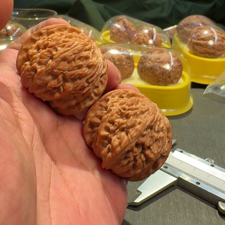 2025核桃季精品山地磨40