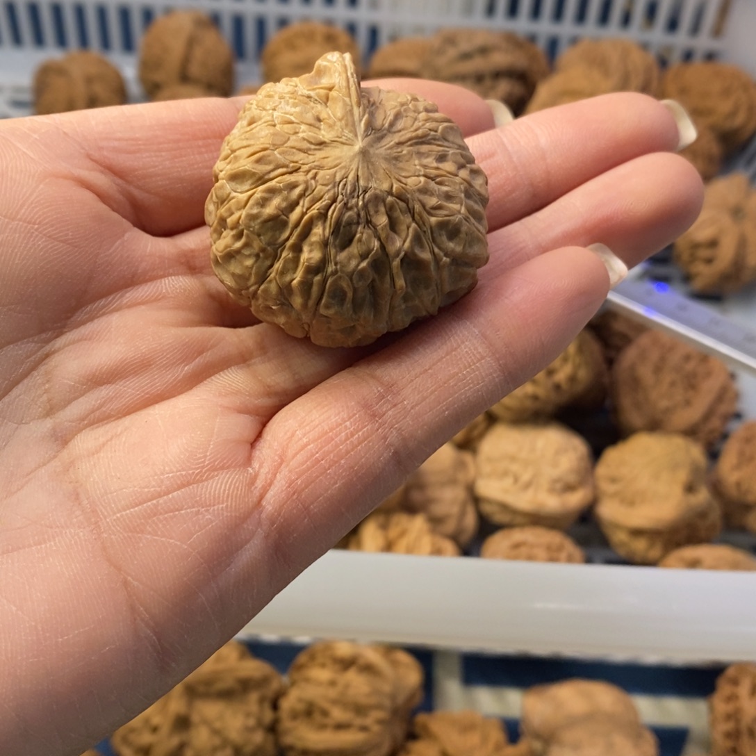 D***D吊坠文玩核桃南瓜