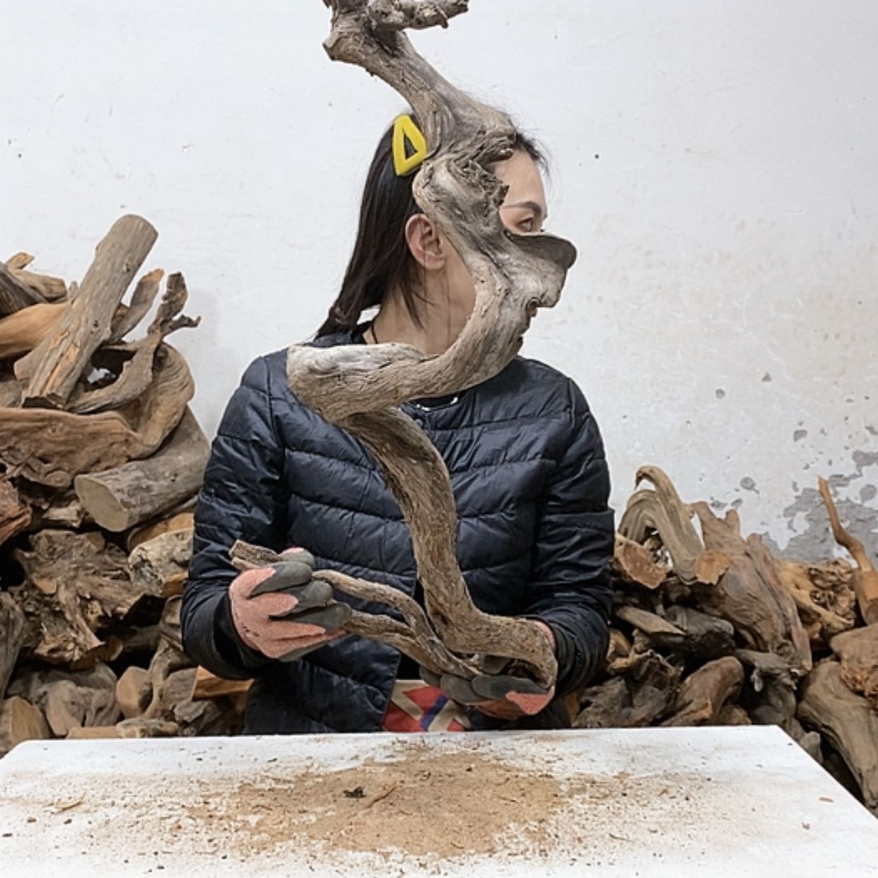 【闪购商品】柏木轩**龙我们都是好孩子