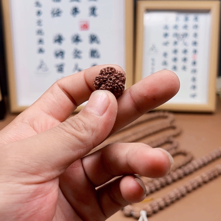 金刚菩提吊坠15尺寸原生态霸王花